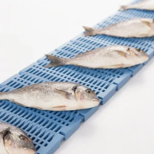 Banda modular de rejilla pesada para mariscos Cintaplus HS-901B