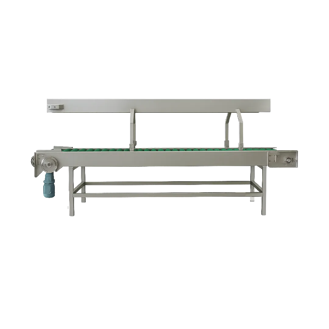 Mesa de polines PVC motorizada - Transportadores motorizados - Sistemas de transporte de rodillos - Imagen 3